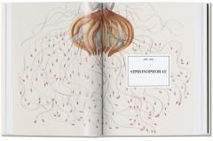 The Art and Science of Ernst Haeckel