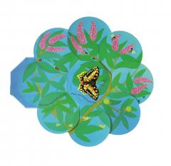 Caterpillar to Butterfly