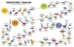 Where's the Dinosaur?