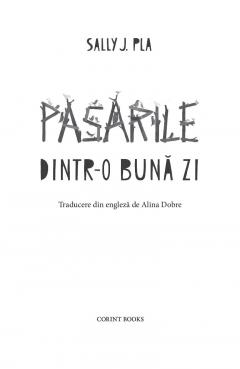 Pasarile dintr-o buna zi