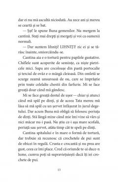 Pasarile dintr-o buna zi