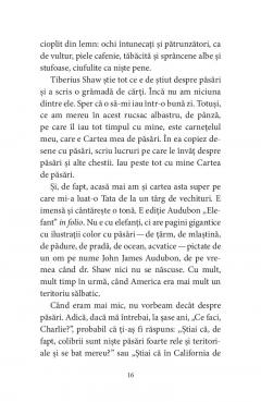 Pasarile dintr-o buna zi