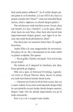 Pasarile dintr-o buna zi