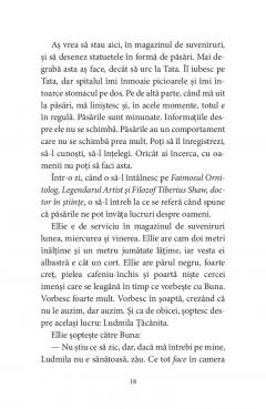 Pasarile dintr-o buna zi