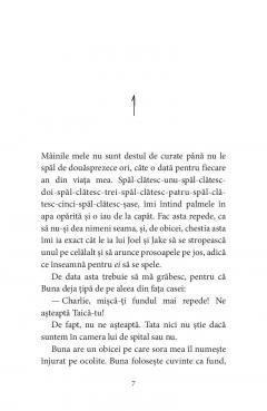 Pasarile dintr-o buna zi