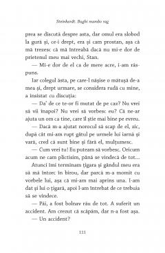 Steinhardt. Bughi mambo rag