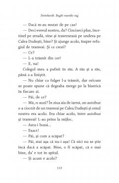 Steinhardt. Bughi mambo rag