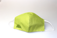 Masca de protectie faciala - verde - mai multe modele