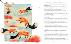 Legenda lupilor albi