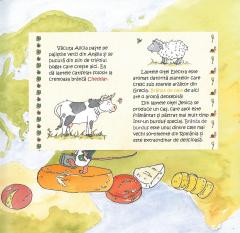 Tilda Soricela - Calatorie fascinanta in jurul lumii