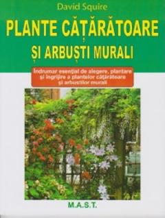 Plante cataratoare si arbusti murali
