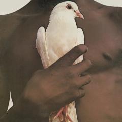 Greatest Hits 1974 - Vinyl