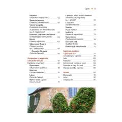 Plante cu crestere rapida