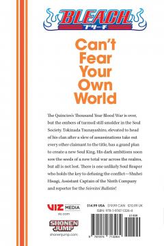 Bleach: Can't Fear Your Own World - Volume 1