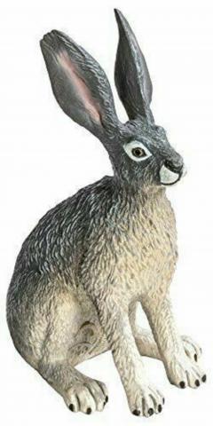 Figurina - Iepure american de desert