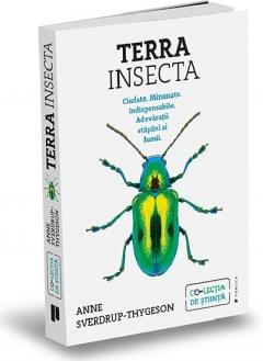Terra Insecta