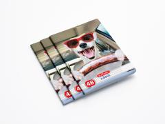 Caiet A5 Patratele - Cool Dog - Modele diferite