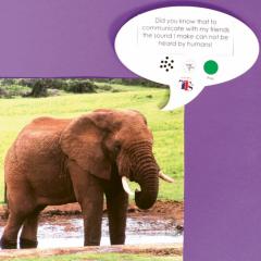 Plansa - Recordable Speech Bubble, A5