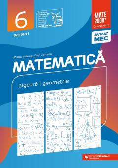 Matematica. Algebra, geometrie. Clasa a VI-a. Consolidare. Partea I
