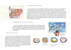 Calatorie prin traditiile Chinei. Iarna