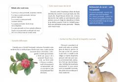 Calatorie prin traditiile Chinei. Iarna