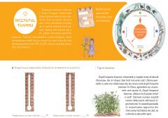 Calatorie prin traditiile Chinei. Toamna