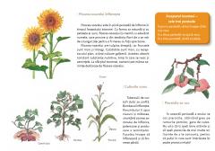 Calatorie prin traditiile Chinei. Toamna