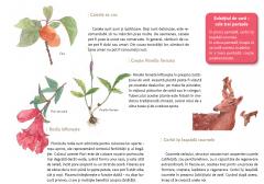 Calatorie prin traditiile Chinei. Vara