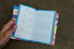 Constitutia Romaniei - varianta Funky, ilustrata si explicata