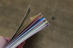 Constitutia Romaniei - varianta Funky, ilustrata si explicata