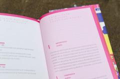 Constitutia Romaniei - varianta Funky, ilustrata si explicata