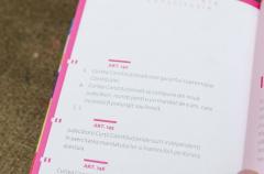 Constitutia Romaniei - varianta Funky, ilustrata si explicata