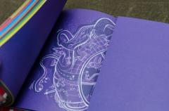 Constitutia Romaniei - varianta Funky, ilustrata si explicata