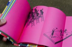 Constitutia Romaniei - varianta Funky, ilustrata si explicata