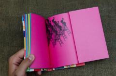 Constitutia Romaniei - varianta Funky, ilustrata si explicata