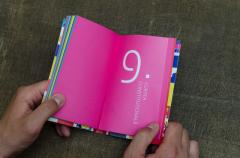 Constitutia Romaniei - varianta Funky, ilustrata si explicata