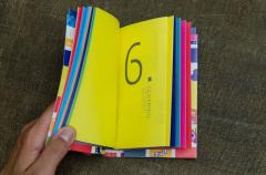 Constitutia Romaniei - varianta Funky, ilustrata si explicata