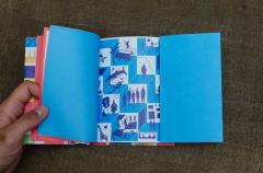 Constitutia Romaniei - varianta Funky, ilustrata si explicata