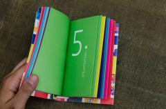 Constitutia Romaniei - varianta Funky, ilustrata si explicata