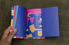 Constitutia Romaniei - varianta Funky, ilustrata si explicata