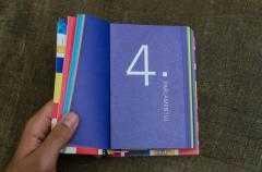 Constitutia Romaniei - varianta Funky, ilustrata si explicata