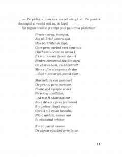 Horbe cu palaria cea mare