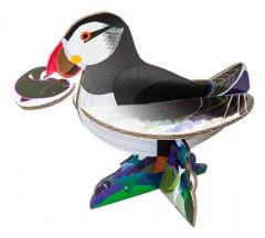 Felicitare pop out papagal