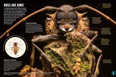 Britannica All New Children's Encyclopedia