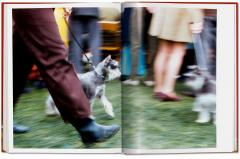 Dogs. Photographs 1941-1991