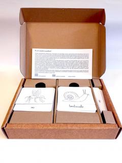 Lectii Montessori. Zoologie. Nevertebrate