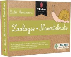 Lectii Montessori. Zoologie. Nevertebrate