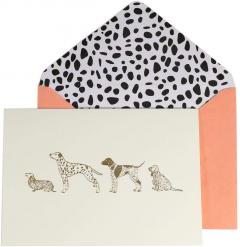 Carte postala - Best Dog in Show