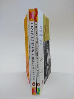 The Beautiful Summer