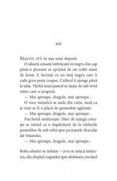 Manasteinn. Baiatul care n-a existat niciodata